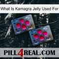 What Is Kamagra Jelly Used For 14